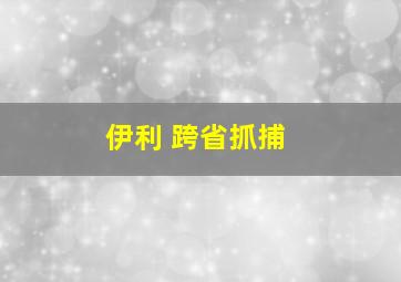 伊利 跨省抓捕